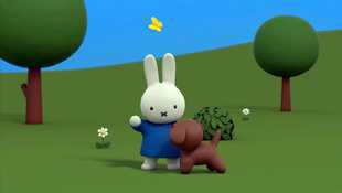 Miffy